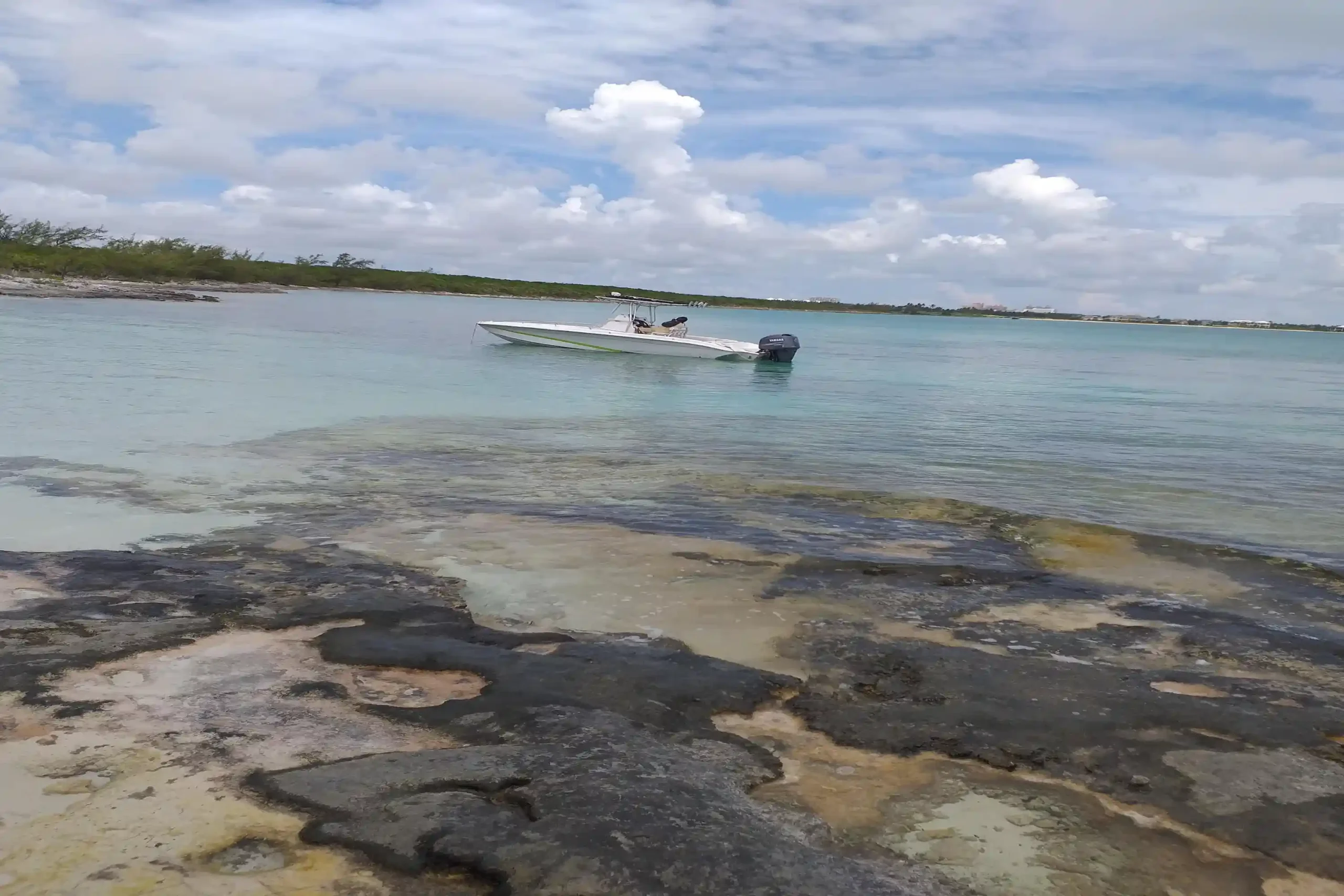 20190608_113046 scaled