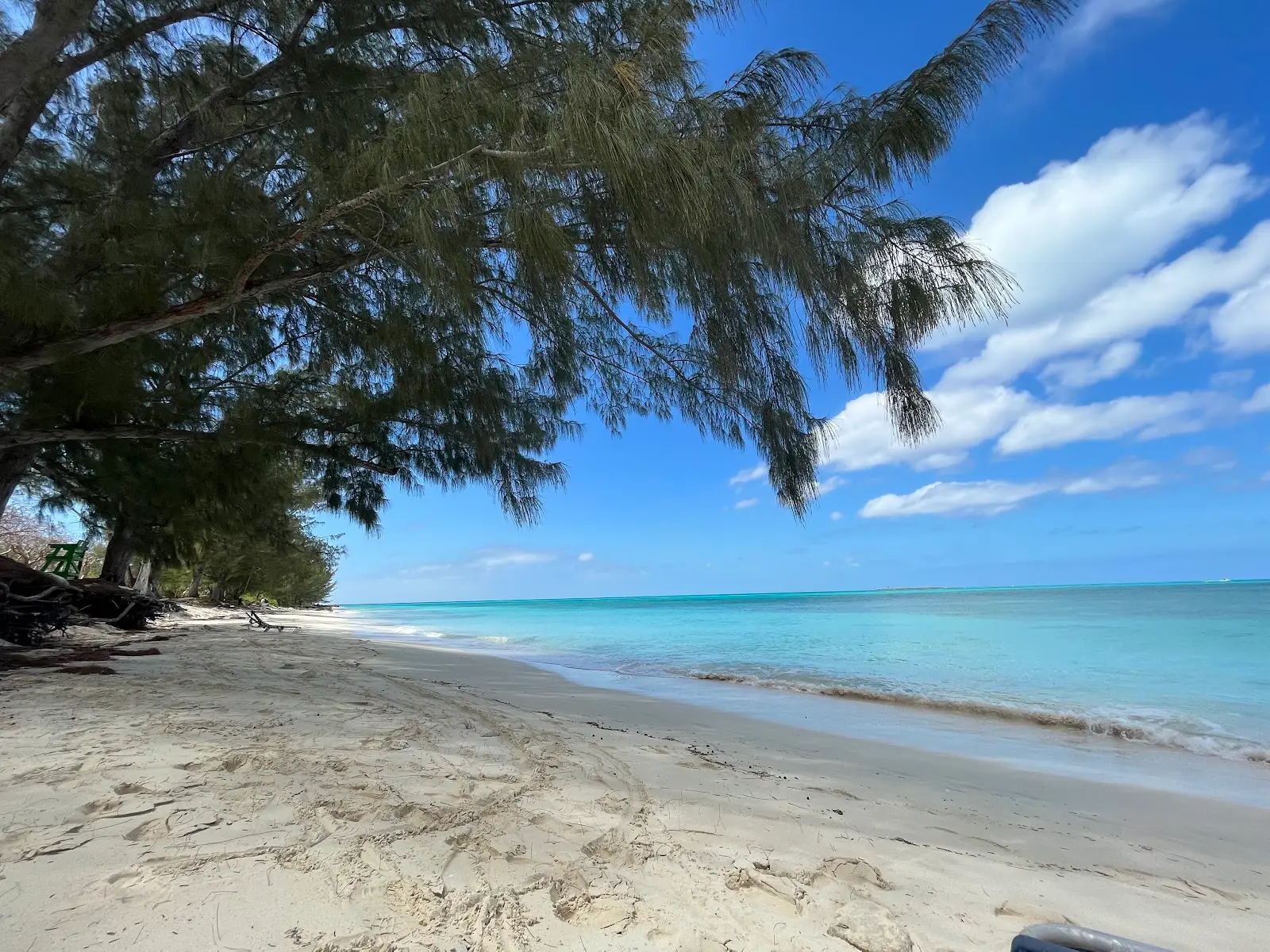 Clifton Heritage National Park 1