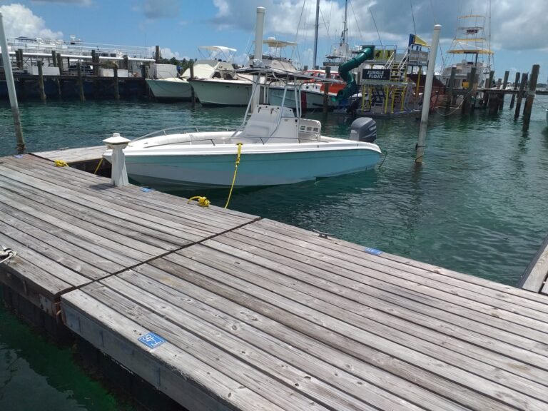 WhatsApp Image 2026 01 24 at 5.11.13 PM 768x576